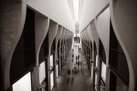 Comment ouvrir une entreprise au Liban ?