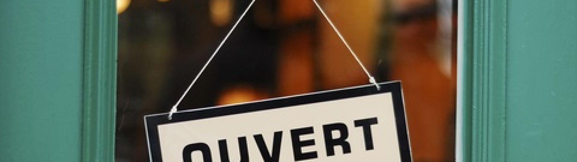 An AI app being used on a phone with a book about AI in the background