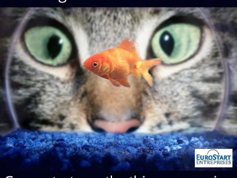 The Next Big Startup in France – Could It Be You?