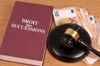 French inheritance law book next to pile of euros and judge gavel