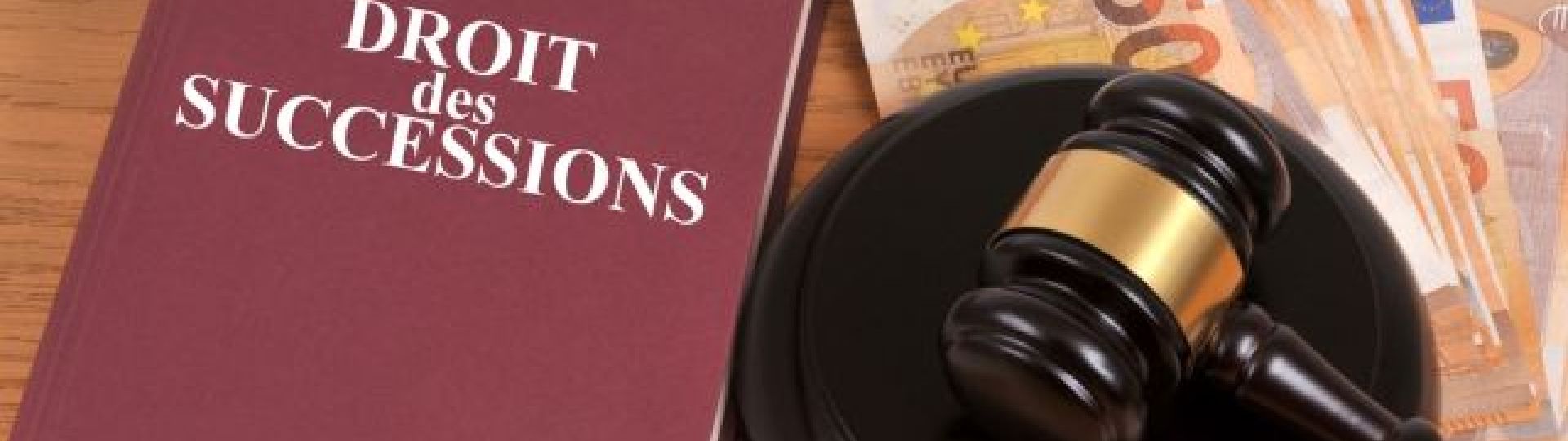 French inheritance law book next to pile of euros and a judge gavel