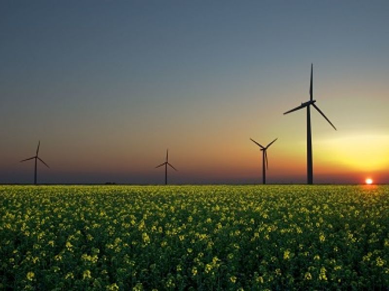 How to start a cleantech business in France