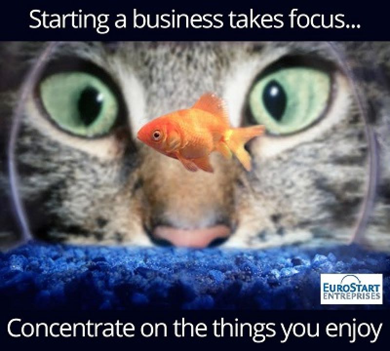 The Next Big Startup in France – Could It Be You?