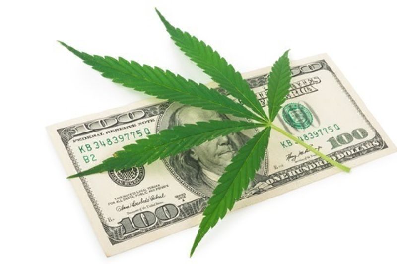 Cannabiz: les avantages et les inconvénients de démarrer un business lié au cannabis aux États-Unis
