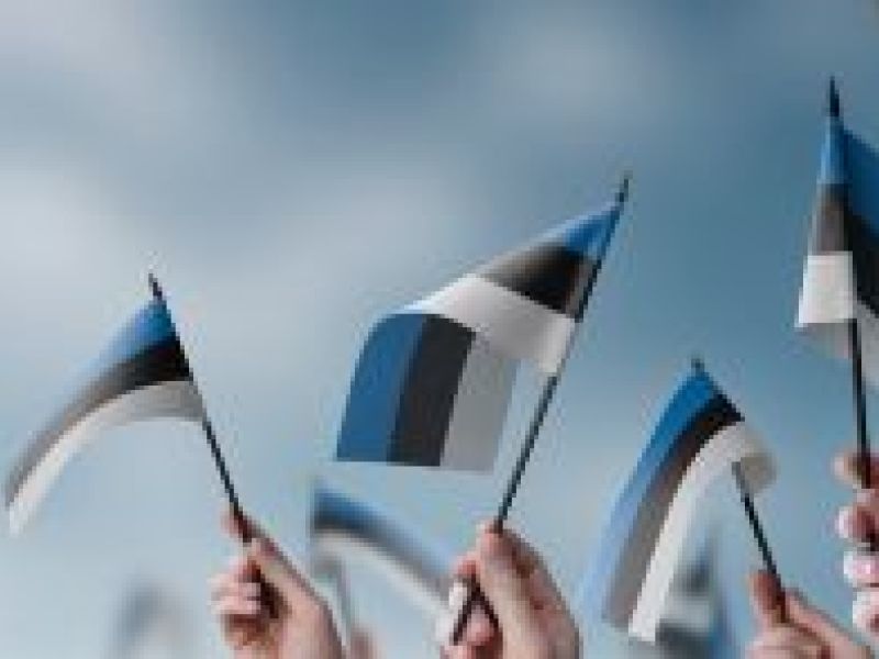 Des mains agitent des drapeaux estoniens - Pourquoi tant d'entrepreneurs créent une entreprise en Estonie ?
