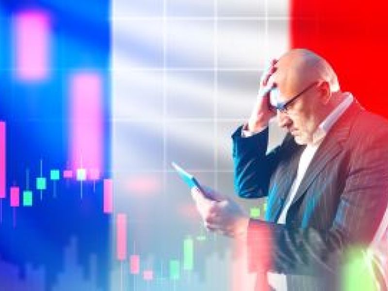 What does the French government collapse mean for businesses?